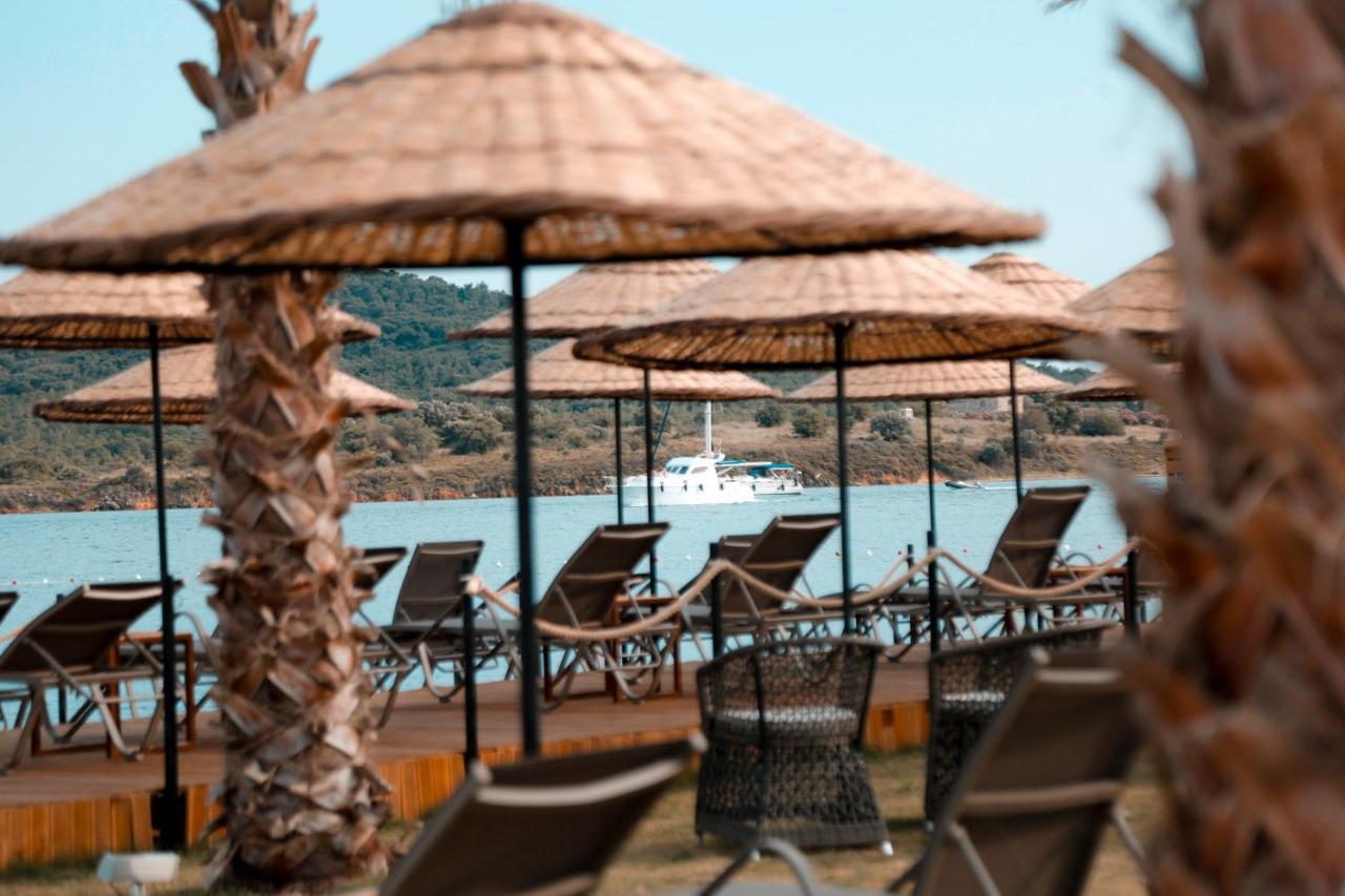 Cunda Fora Glamping Hotell Ayvalı Exteriör bild